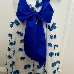 Blue and White Floral appliqué Dress with Bow